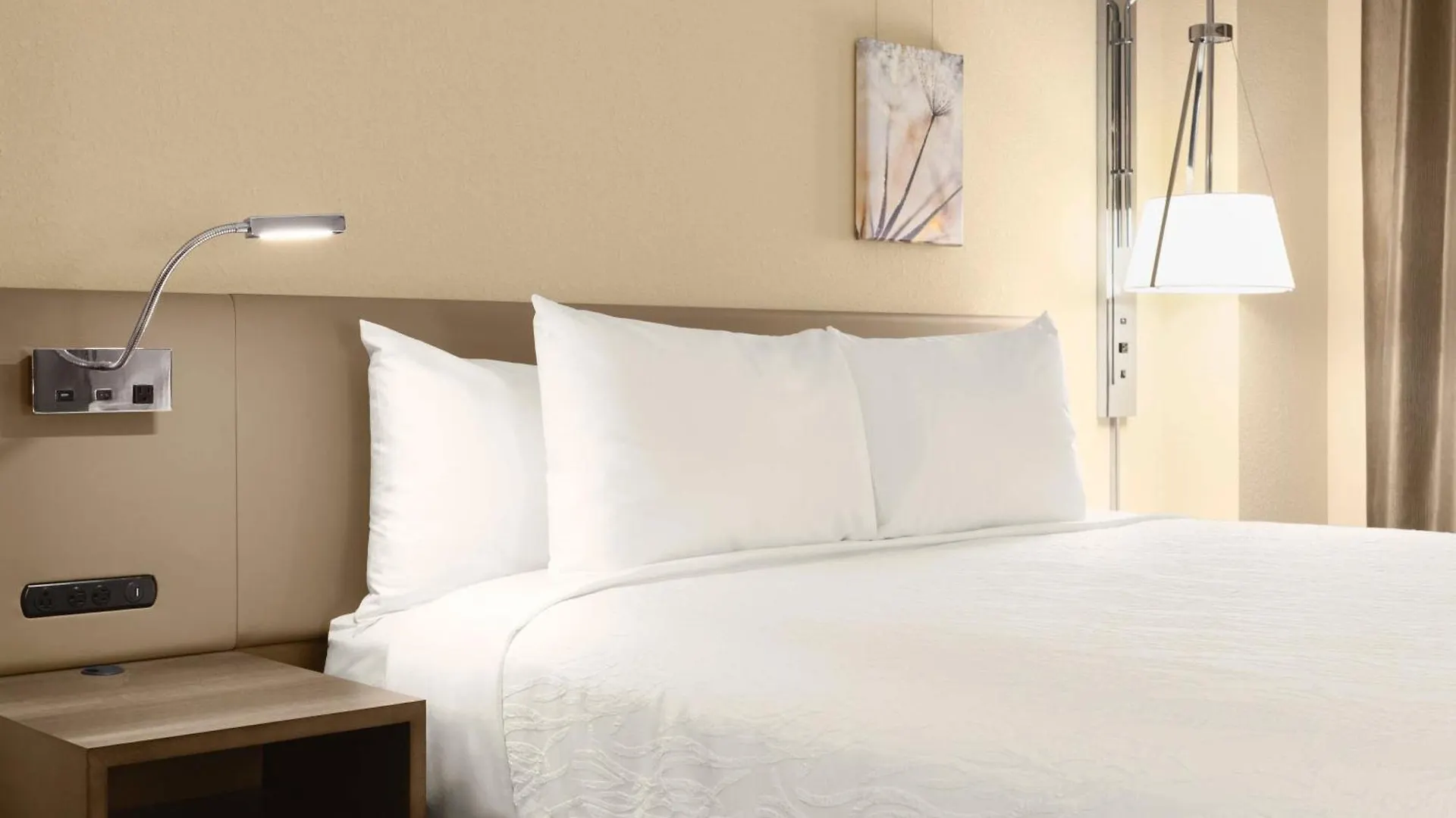 Hotel Hilton Garden Inn Charlotte Southpark