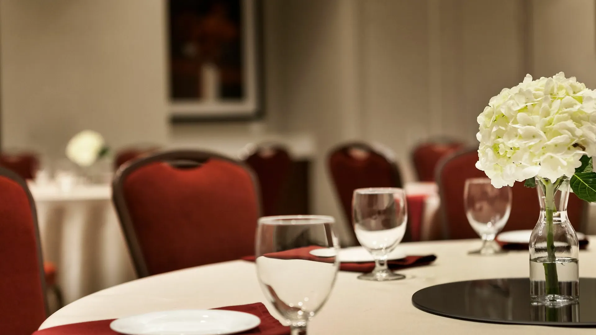 Hotel Hilton Garden Inn Charlotte Southpark